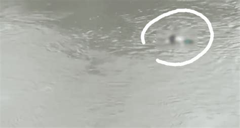 2 bodies found floating on river in Dagupan City .
